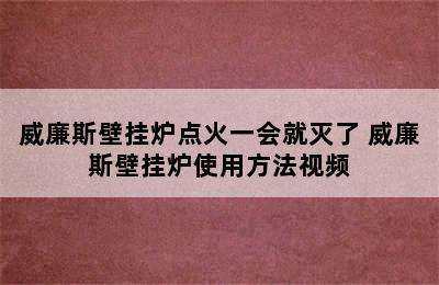 威廉斯壁挂炉点火一会就灭了 威廉斯壁挂炉使用方法视频